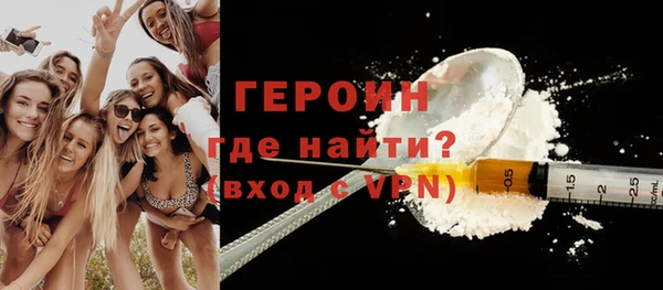 дживик Ельня