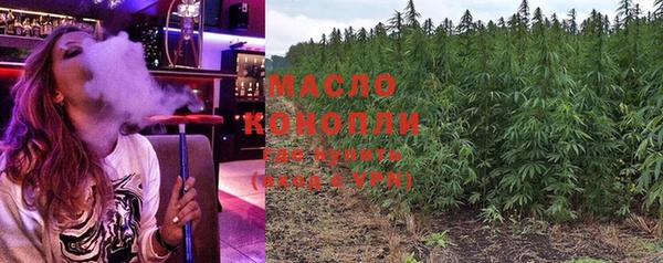 дживик Ельня