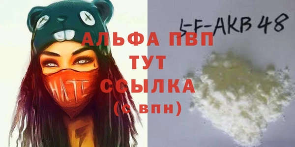дживик Ельня