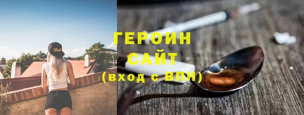 дживик Ельня