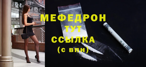 дживик Ельня