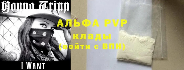 дживик Ельня