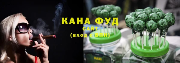 дживик Ельня