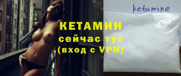 дживик Ельня
