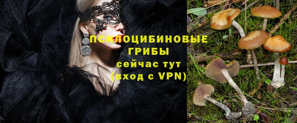 стафф Елабуга