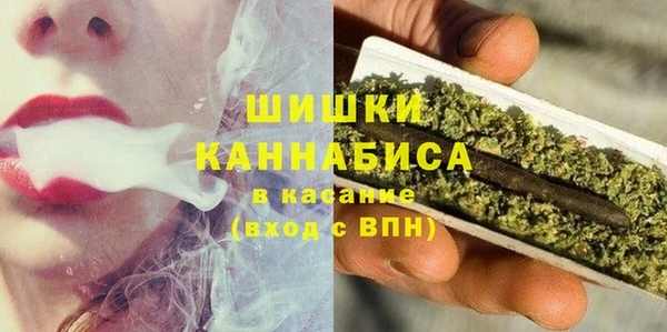 дживик Ельня