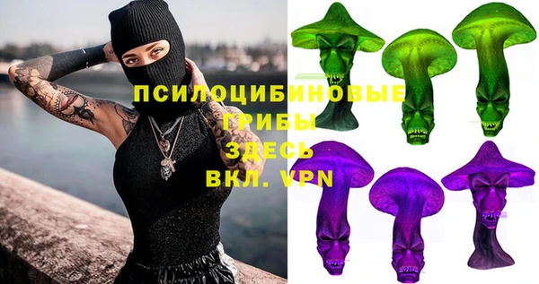 стафф Елабуга