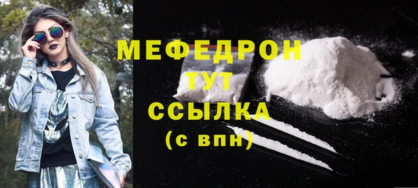 дживик Ельня