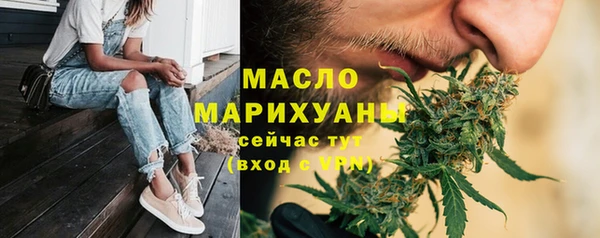 дживик Ельня