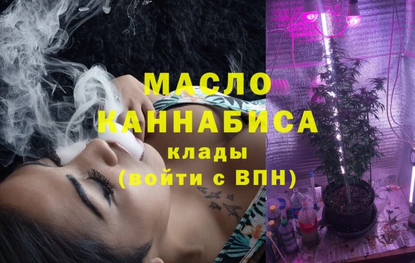 дживик Ельня