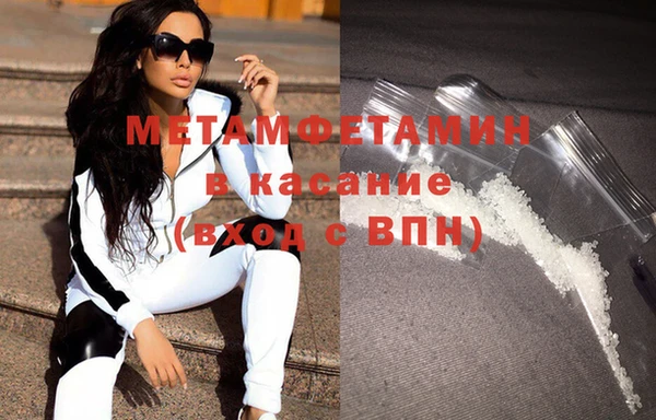дживик Ельня