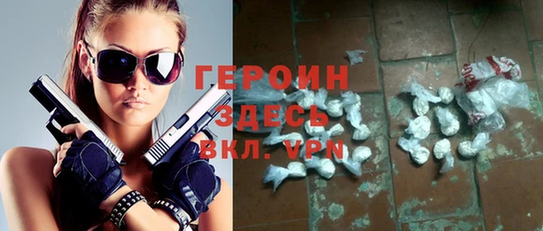дживик Ельня