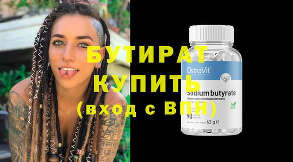 дживик Ельня