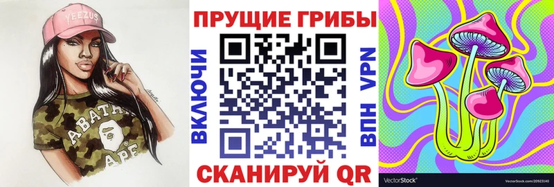 Купить закладки  Карабаново  Псилоцибиновые грибы ЛСД 